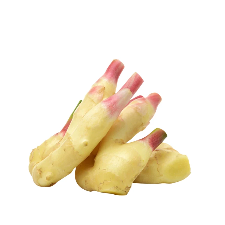 2022 High Quality Wholesale Chinese Agricultural Products Export Ginger at Market Price