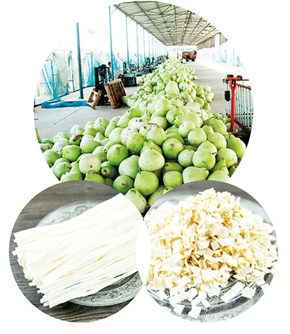 Wholesale custom hot pot soup base umami dried daikon radish