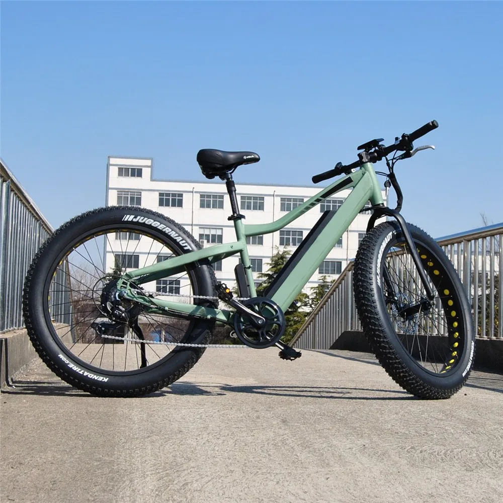 China Cheap 48v Fat Tyre Electric Bicycle Electric E Bike 500w 1000w Mountain Bikes Mid Drive Alloy Electric Bicycle