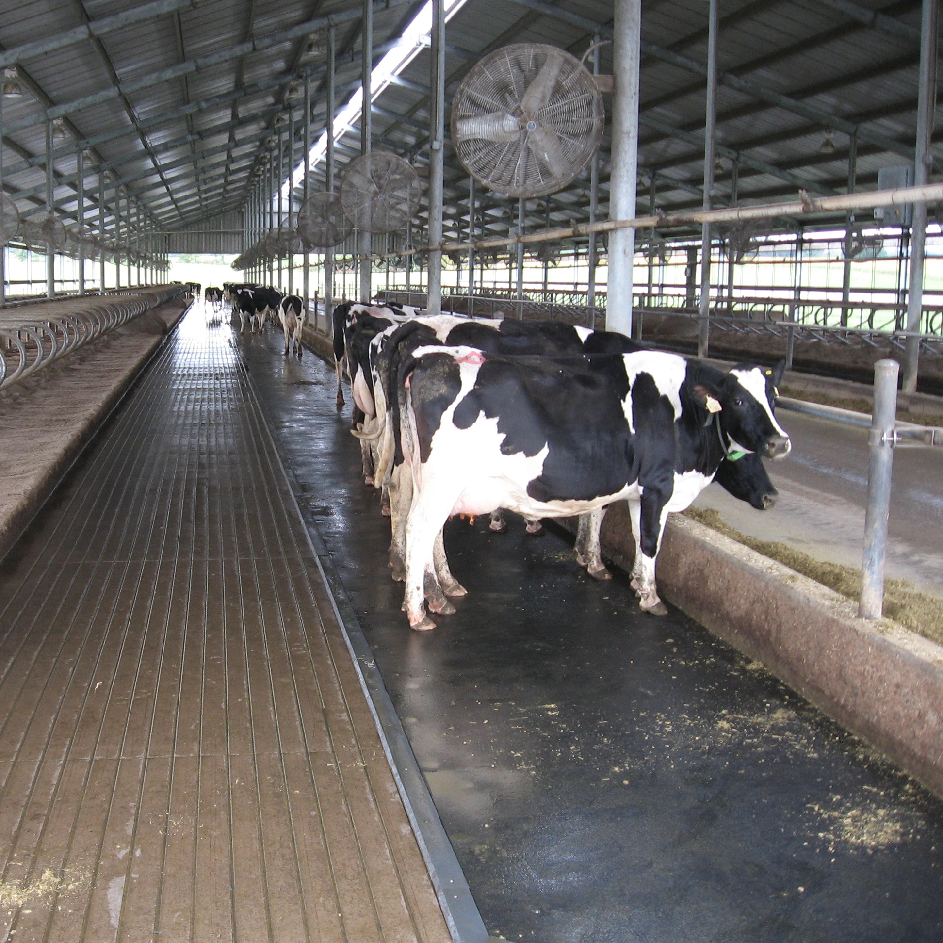 
DACHENG Thick Rubber Sheet Cow Rubber Mat 