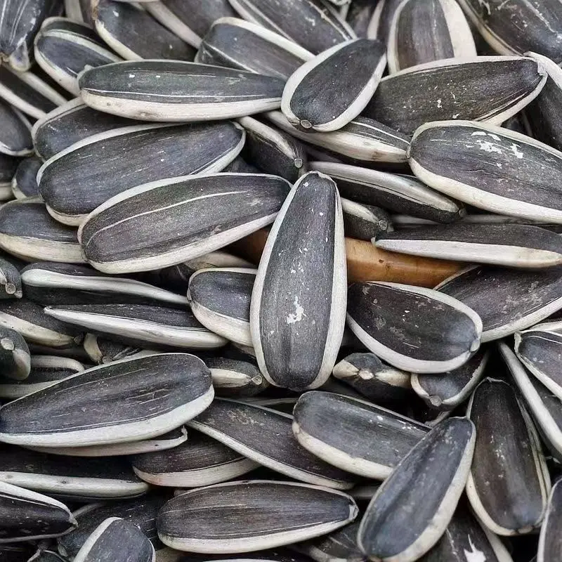 Premium Factory Supplier Wholesale Sunflower Seed 361 Sunflower Seeds Fresh Sunflower Seeds