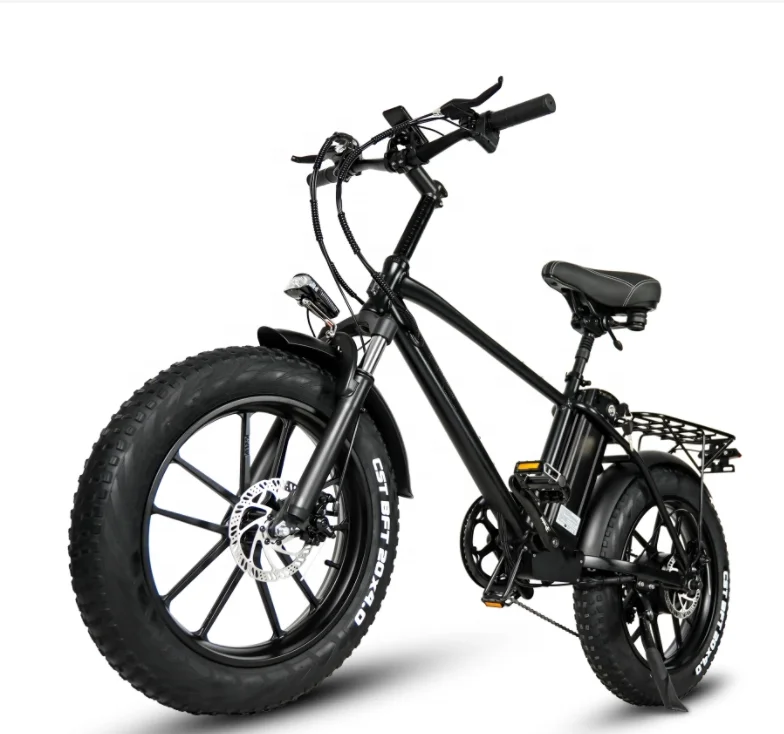 20 Inch Fat Tire 750W Motor Ebike 18Ah Lithium Battery Ebike Electric Mountain Ebike For Adult Electric Bicycle