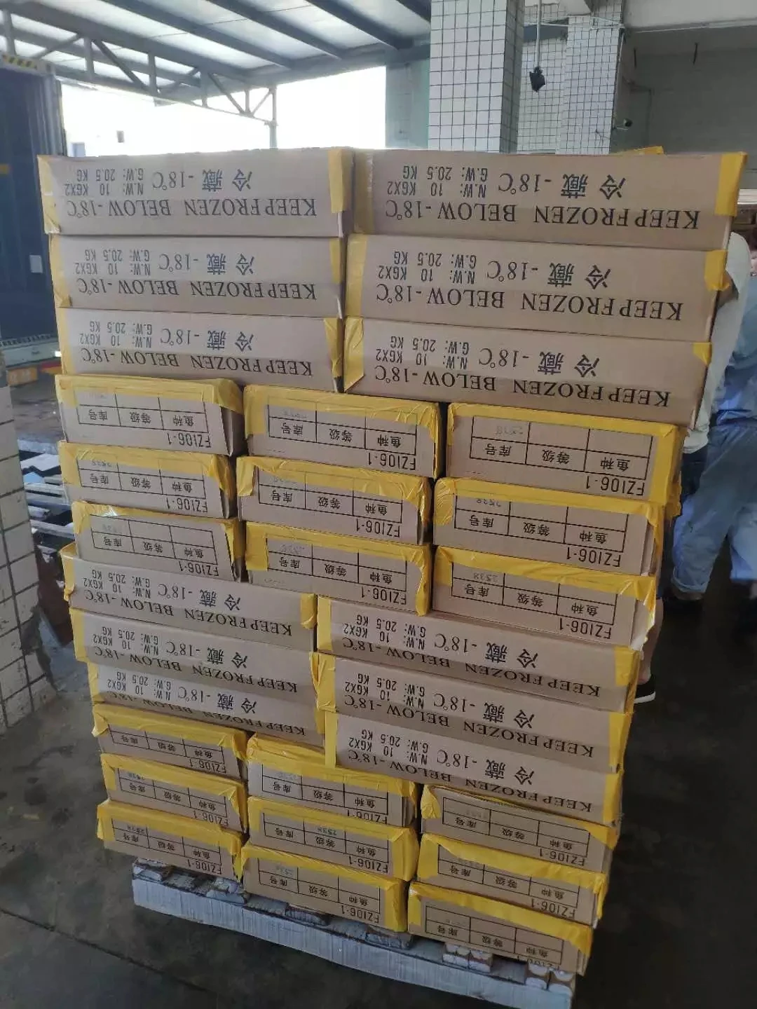 L47  Chinese manufacturer white croaker surimi hot sale fish processed products high quality white croaker surimi