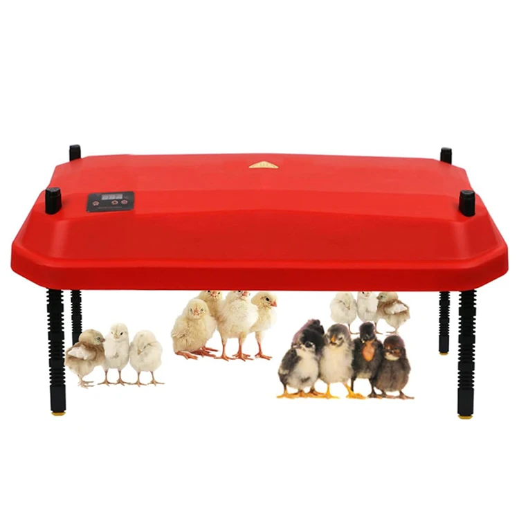 Poultry farm chick heating plate brooder with temperature adjustable