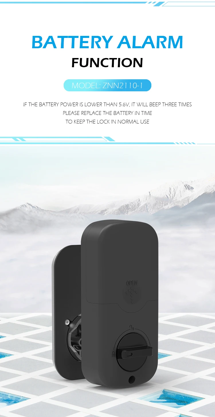 ZNN2110-1 deadbolt 5