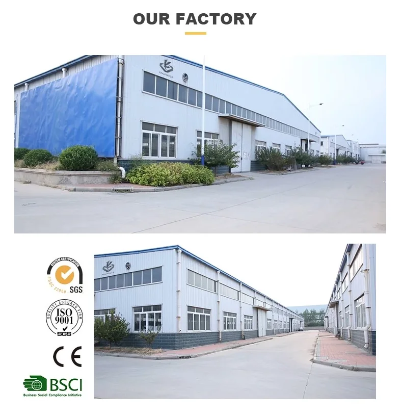 paste-pic-dp_uuid_w7z5m