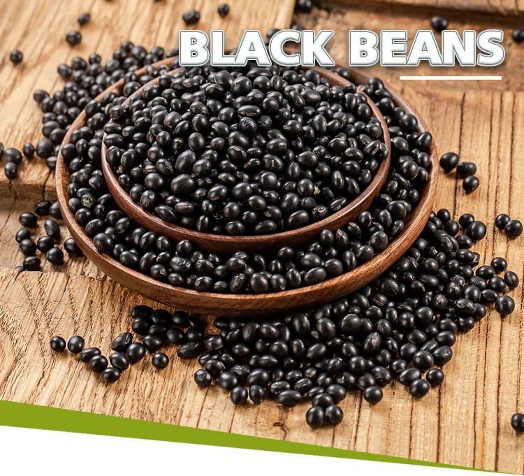 Hot Selling High Quality Common Natural Bulk Black Beans at Company Price