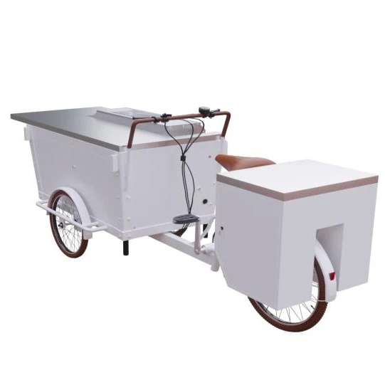 Mobile BBQ Bike Gas Support Environment-friendly Food Cart Grill Bike Barbecue Mobile Food Delivery Bike for Outdoor