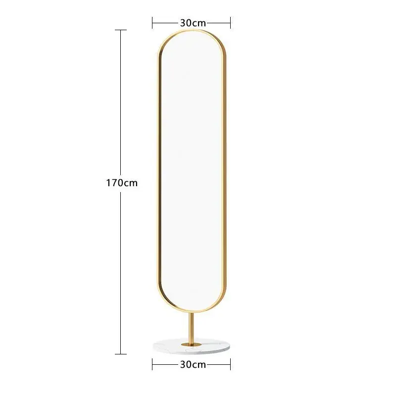 Affordable luxury style floor mirror home bedroom narrow  stereo dressing mirror modern simple with  girl  Mirror