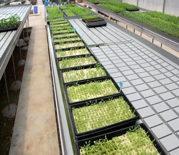 Wholesale Manufacturer Planting Tray Seed Starter Trays 50 72 105 128 200 288 Cells Plastic