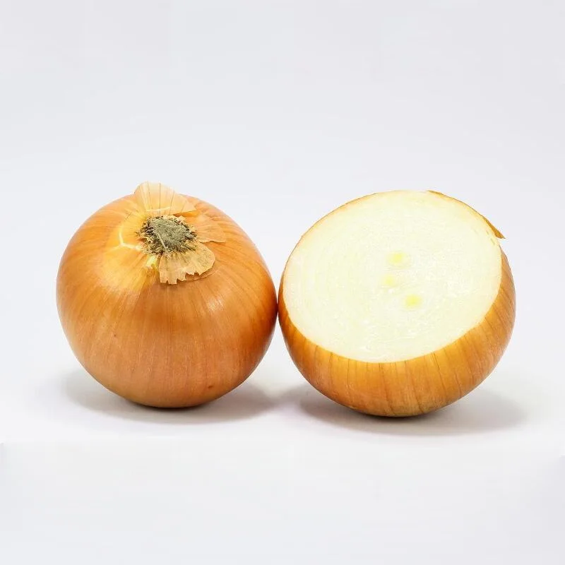 Chinese fresh onion with Long-shelf life