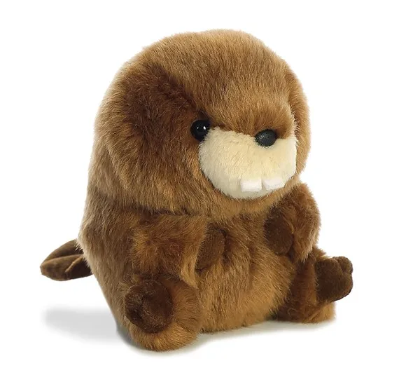 S2508 beaver baby.jpg