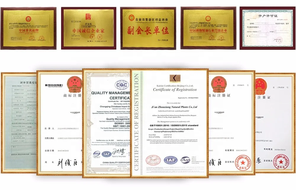 New 100% natural and pure therapeutic grade synergy blends essential oil set for aromatherapy