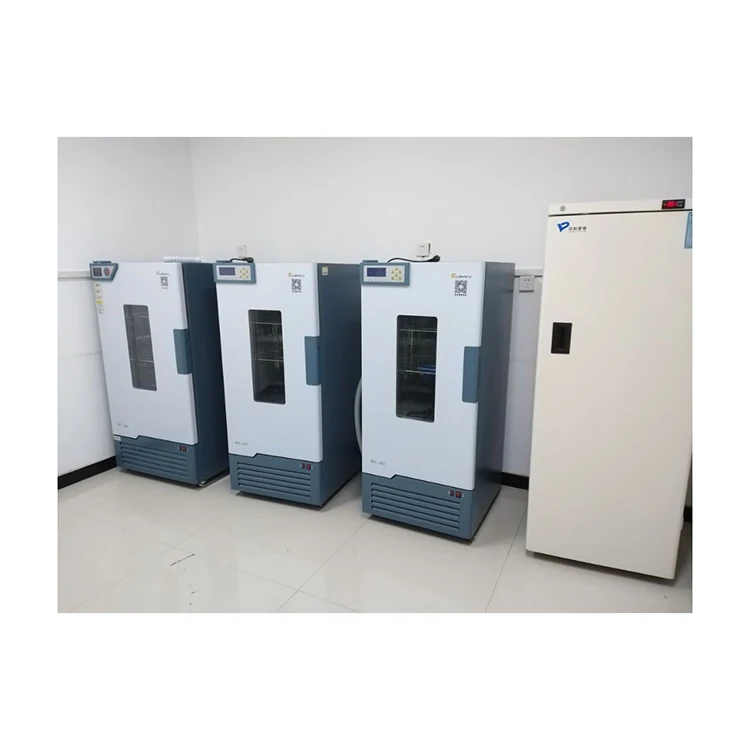 laboratory bacteria medical 80l microbiology incubator biochemistry constant temperature equipment