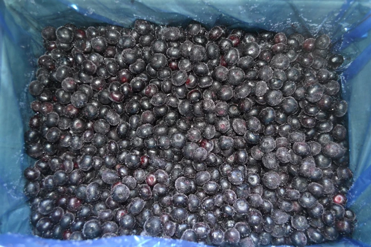Bulk IQF Frozen Wild Blueberries