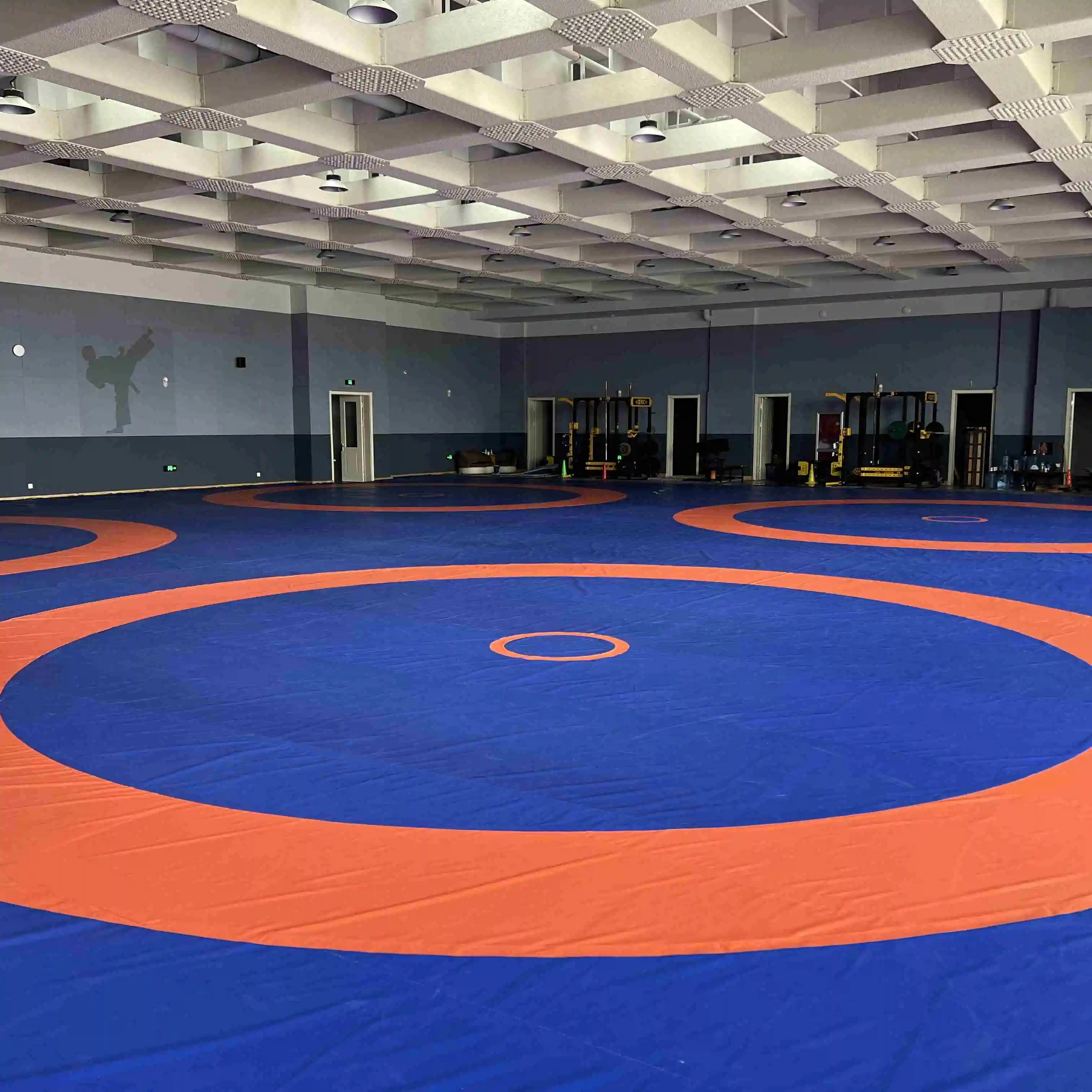 Custom 14x14 Foldable Judo Vinyl Wrestling Puzzle Mat BJJ Roll mats for Wrestling and Fighting