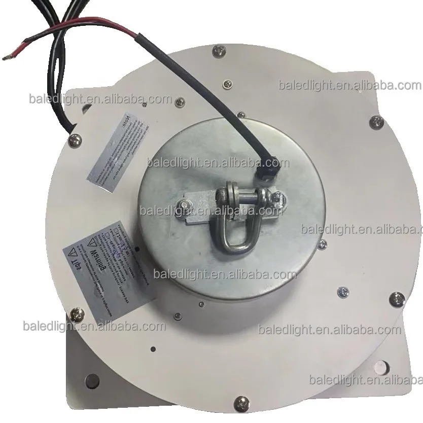 Light duty crane remote lighting lifter 20kg 40kg