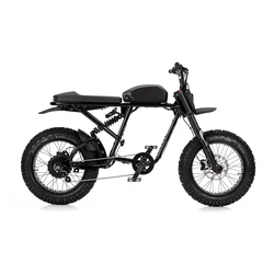 2022  20 inch Off Road Electric Dirt Bike with  48V 17.5Ah 750W hub motor fat tire electric bike for adults