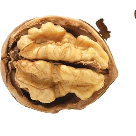 Chinese Walnuts  New Crop Walnuts With Shell Top Quality