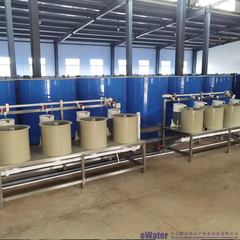 Automatic Indoor Farming Tilapia Equipment Aquaculture System/smart Ras System for Hatchery Eggs Incubator Jars