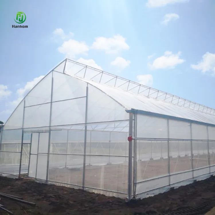 Commercial single span high tunnel agricultural greenhouse single arch shed frame for sale