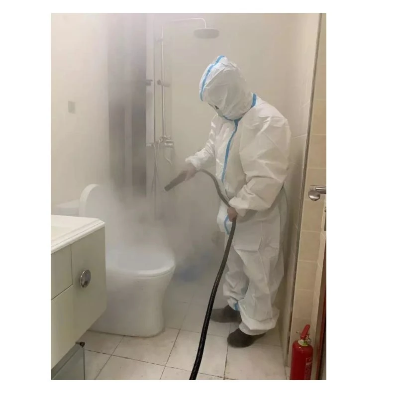 
High Power portable 3000W hospital steam sterilizer gun sterilization steam machine 