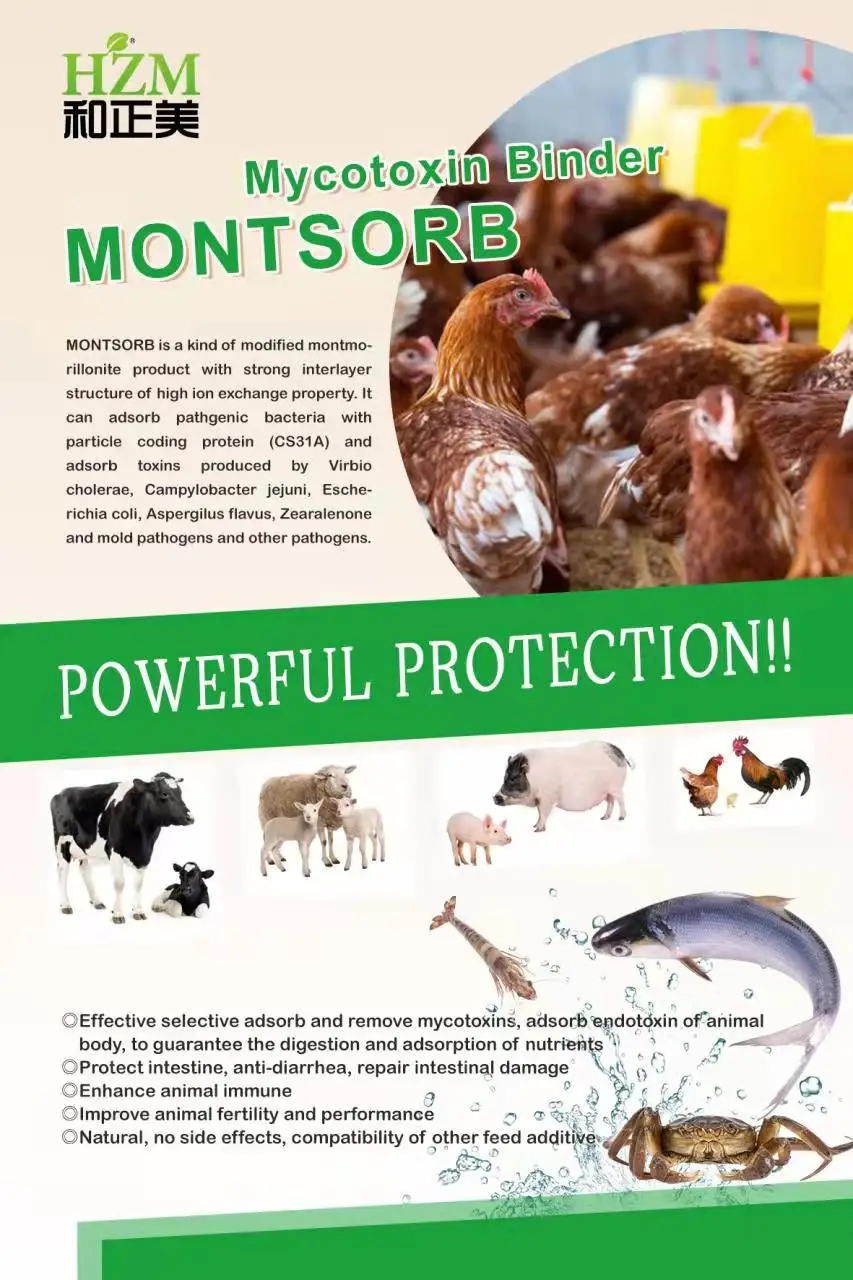 feed additive montmorillonite manufacturer export directly  HSCAS