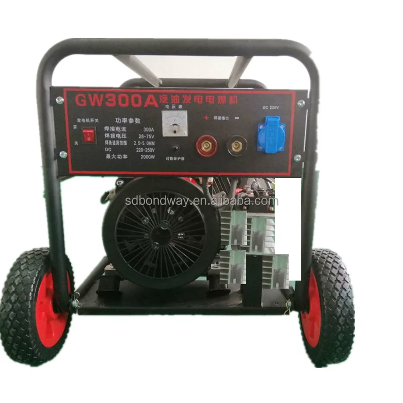 China honset supply 300A 160A  welding machine diesel welder generator