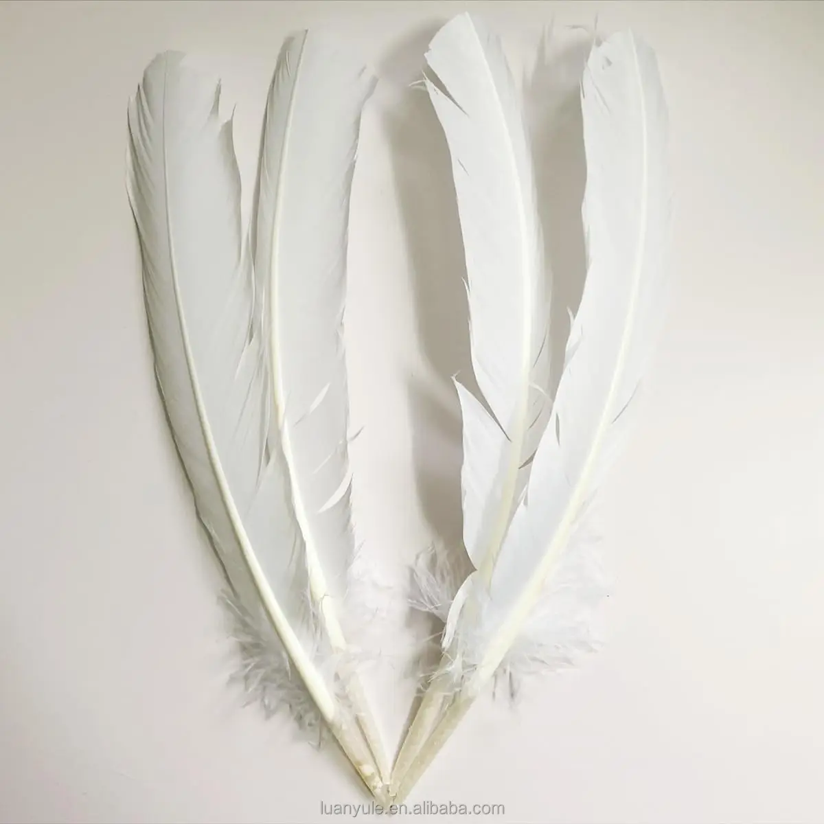 Natural Wahsed Goose Duck Feather for Shuttlecock Manufacturing with Superior Flight and Stability