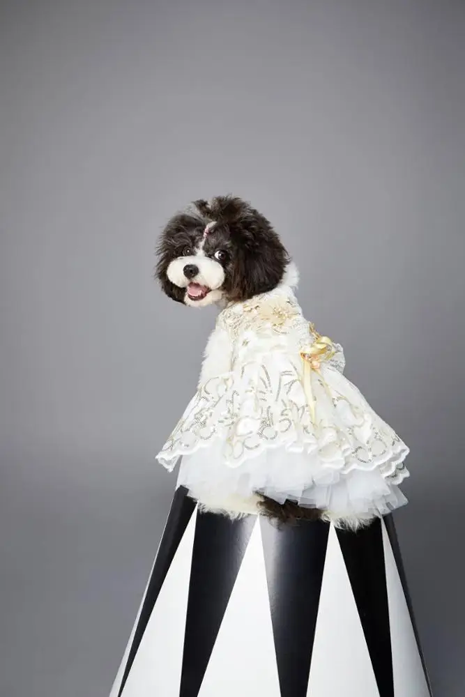 Delicacy luxury Pet Dog Cat Skirt Sequined embroidered lace Dress Clothes evening dress wedding