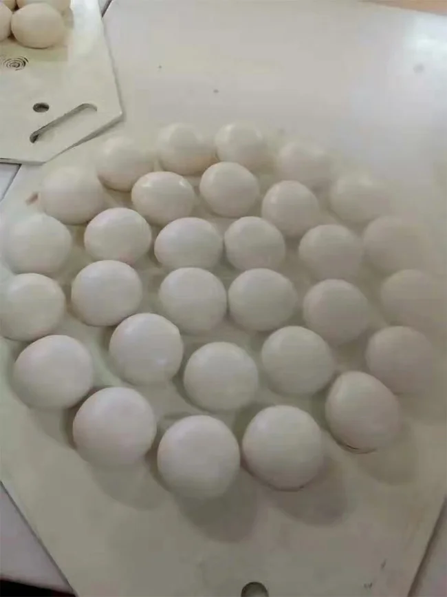 bread make dough divider rounder for sale