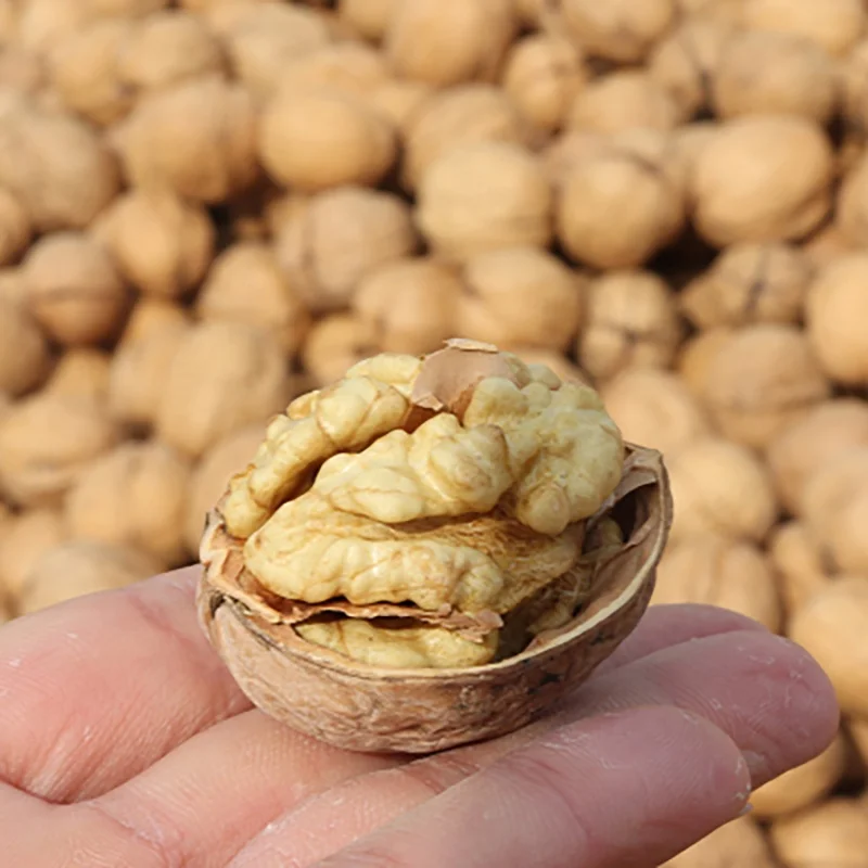 Good price wholesale sale fresh chinese dryfruits paper shell walnut sample walnut