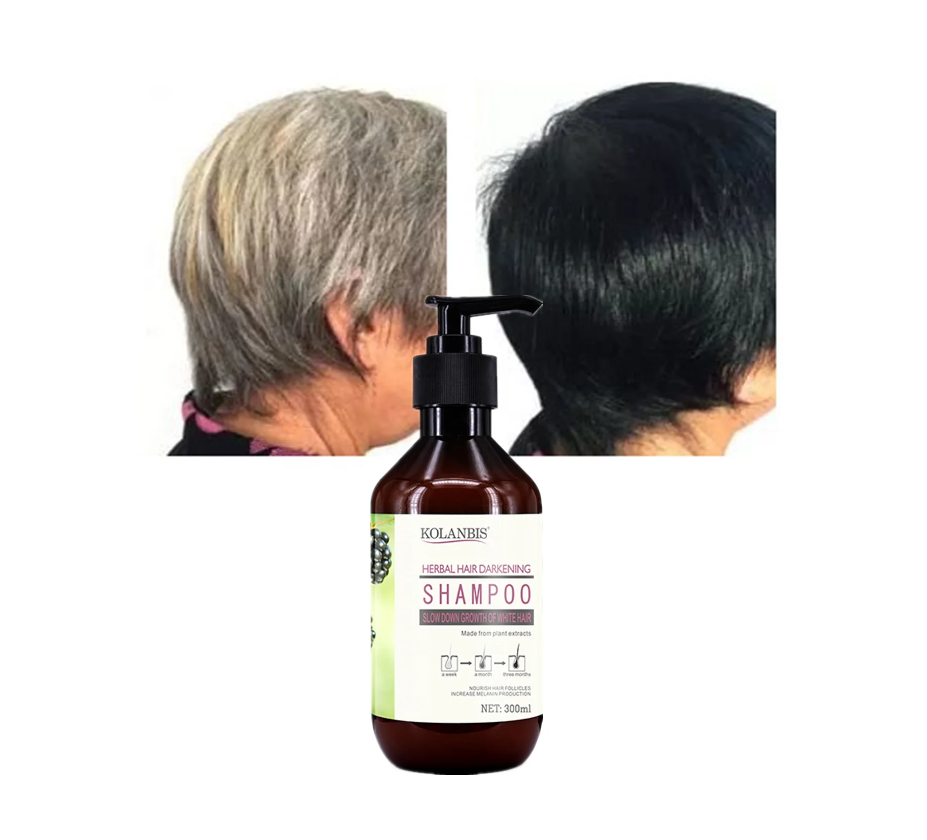KOLANBIS Wholesale Morus Alba Black Hair Color Shampoo Products For Anti White And Gray Private