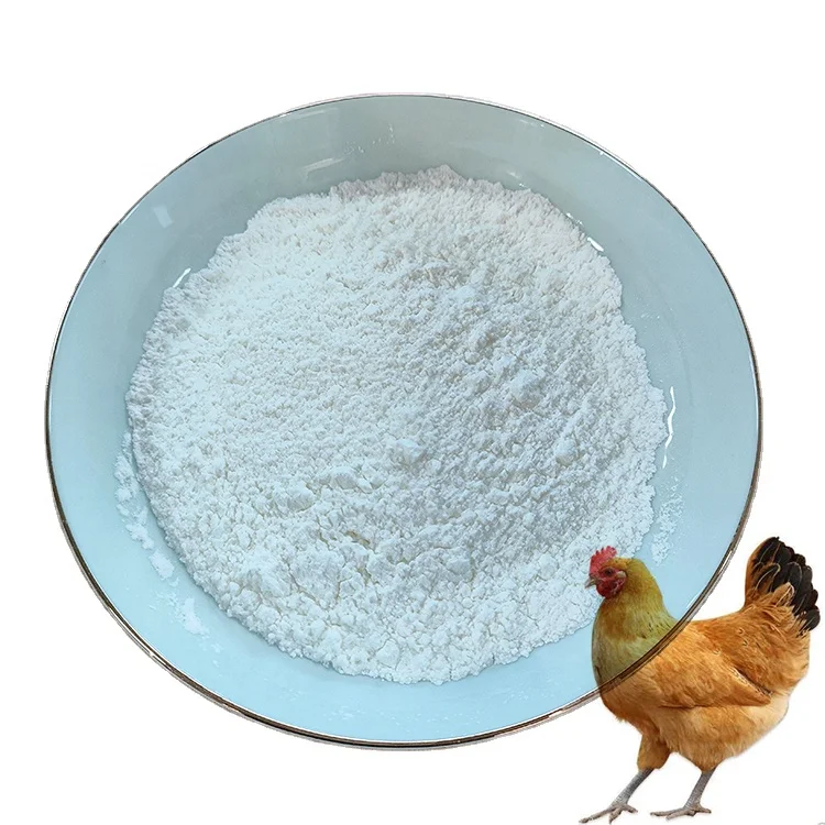 Factory Directly Supply high quality 70% bile acid broiler feed additive amino acid for poultry bile acid