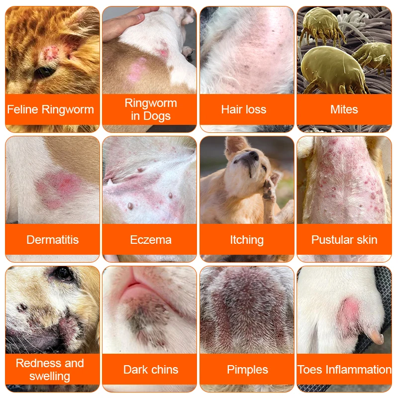 Private Label Skin Sprays for Dogs and Cats Natural Soothing Spray, Clean & Soften, Reduce Itchy Scratching Veterinary Recommend