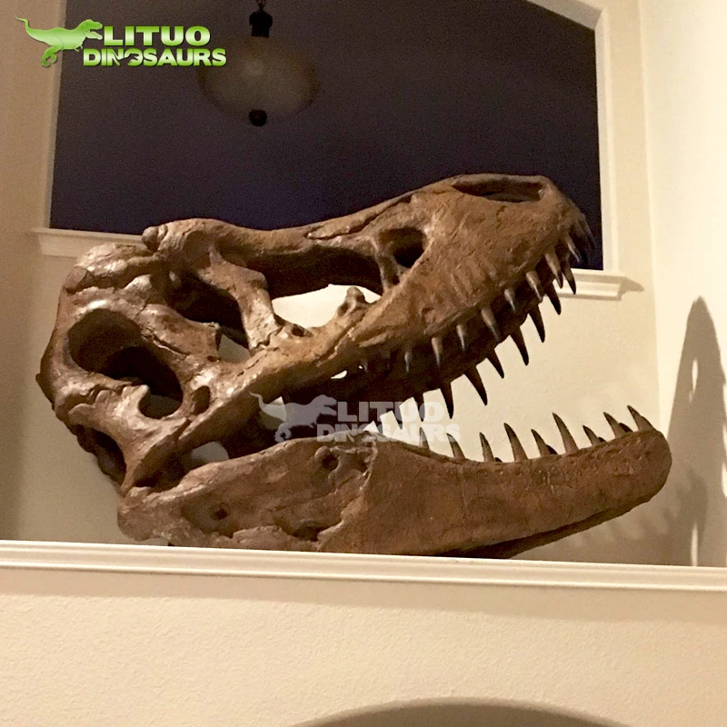 Life Size Dinosaur Skull of T-rex