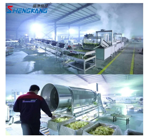 Factory Directly Fully Automatic Small Scale Potato Chips Crisps Frying Machine French Fries Potato Chips Production Line