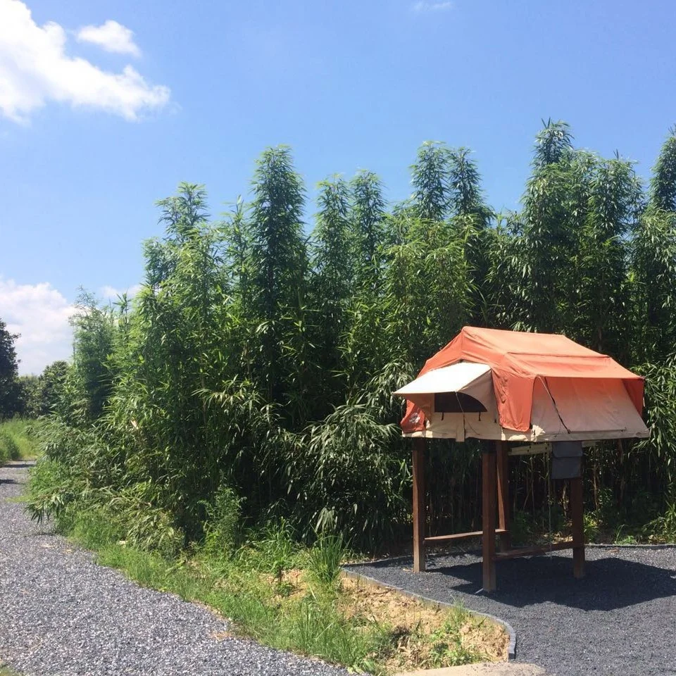 Roof Top Tent Camper Car 4X4 Roof Top Tent Rooftop Tent from directly factory