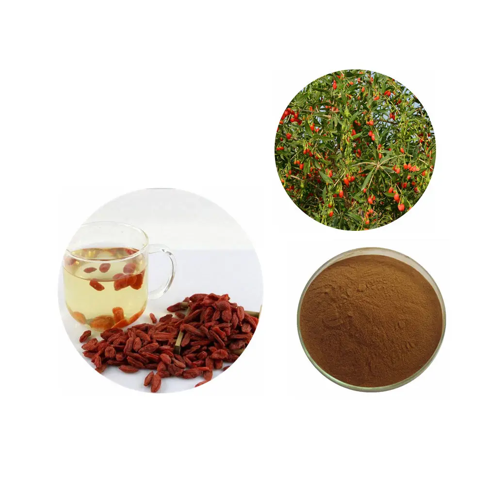 Chinese dried medlar fruit  goji berry best price medlar tea dried wolfberry extract