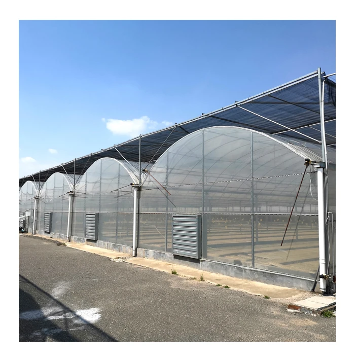  Multi-span Plastic Tunnel PE/ PO Film Agricultural Greenhouse with Hydroponics System Cheap