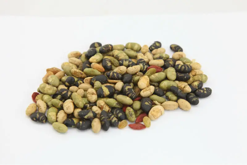Vegan food Wholesale Snacks OEM Yummy foods Salted Roasted Edamame Soyabean