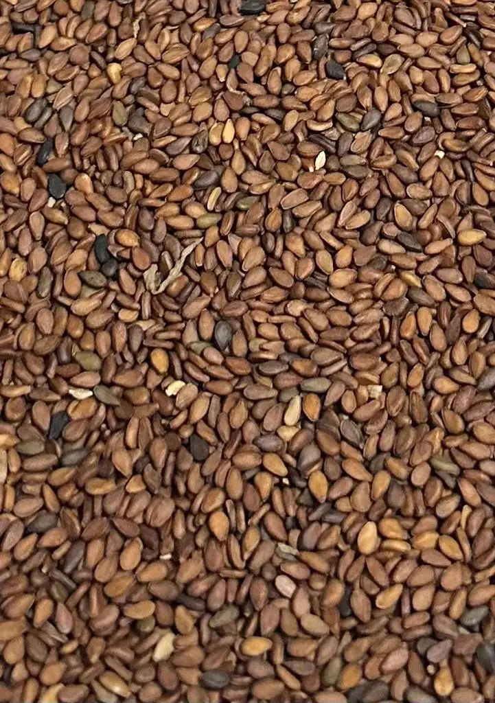 Natural Organic 100% Pure High Quality Wholesale Price Manufacturer Factory Price Origin Brown Sesame seeds From Bangladesh