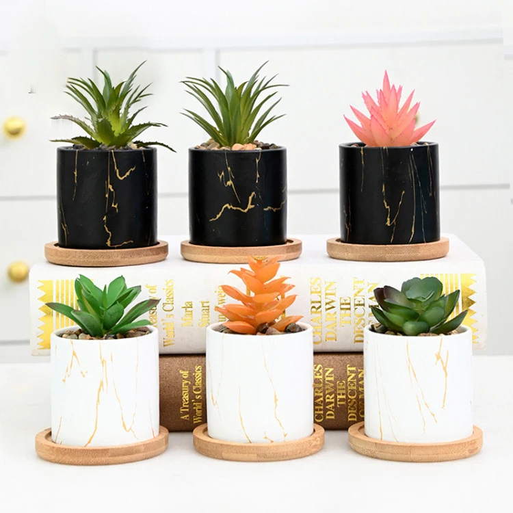 Wholesale Entryway Home Decor Nordic Small White and Black Ceramic Succulent Cactus Pots Flowerpot