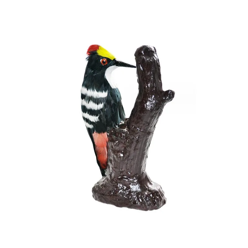 Animal Simulation Model Educational Equipment Woodpecker Model Specimen