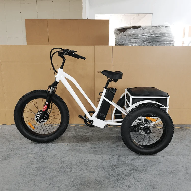 New Arrival  Three Wheels Cargo Ebike Aluminum Lithium Battery Disc Brake 500W 24/20 Inch Fat Tire Electric 3 Wheel Bicycle