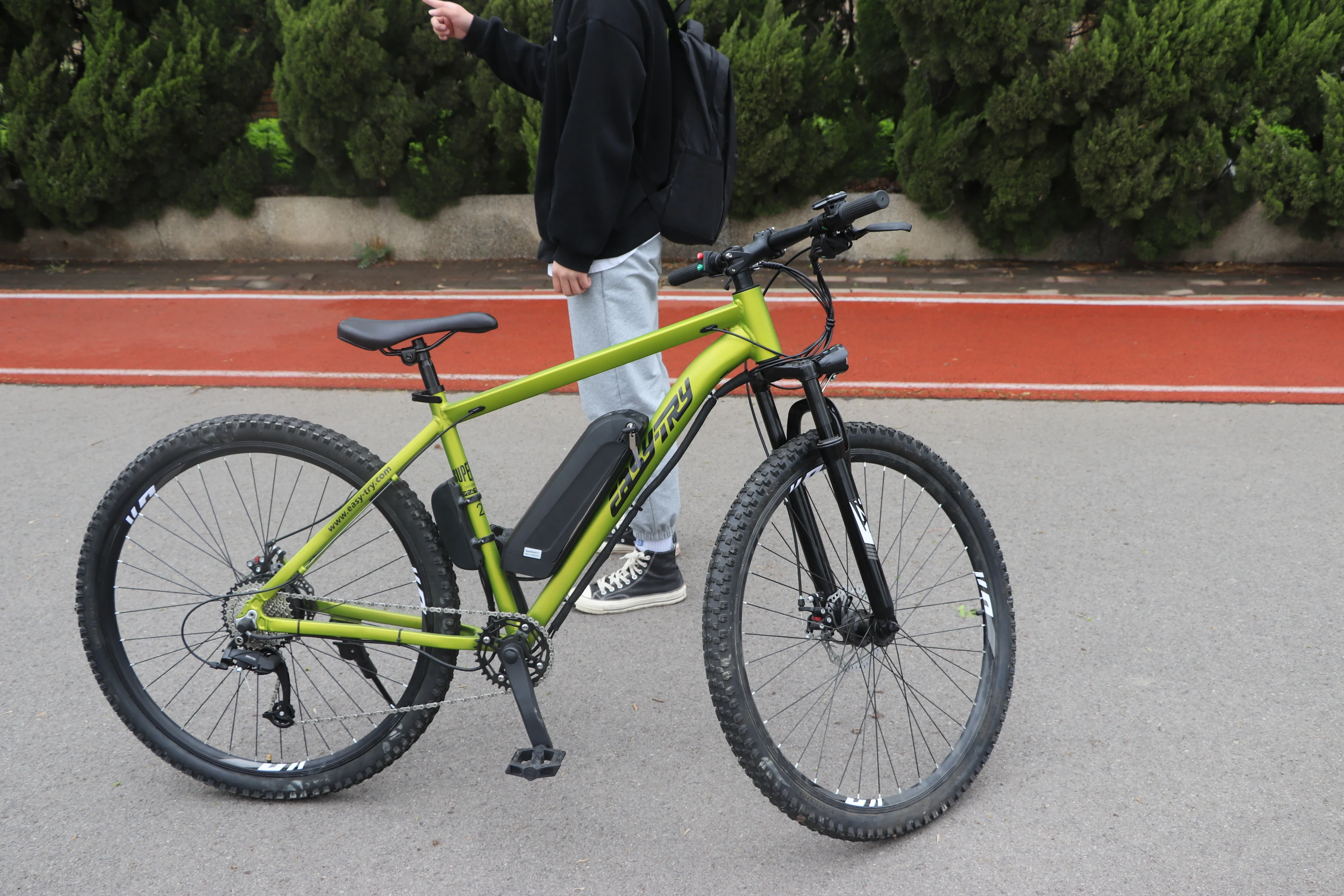 Hot high quality e bike china manufacturer customized 10Ah electric bike 36V/48V 250W/350W/500W electric mountain bicycle