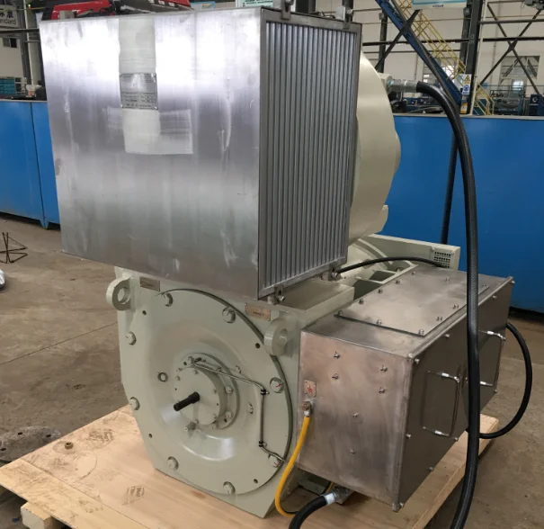 DRILL RIG ELECTRIC MOTOR