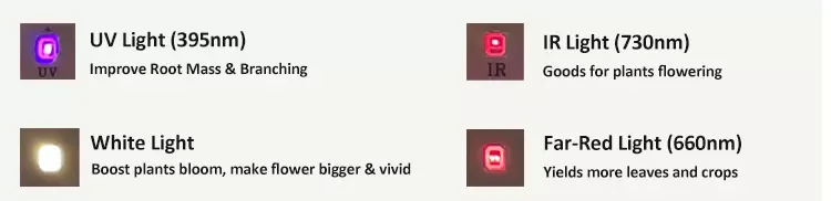 paste-pic-dp_uuid_fdscx