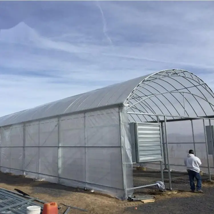 tunnel greenhouse (2).jpg