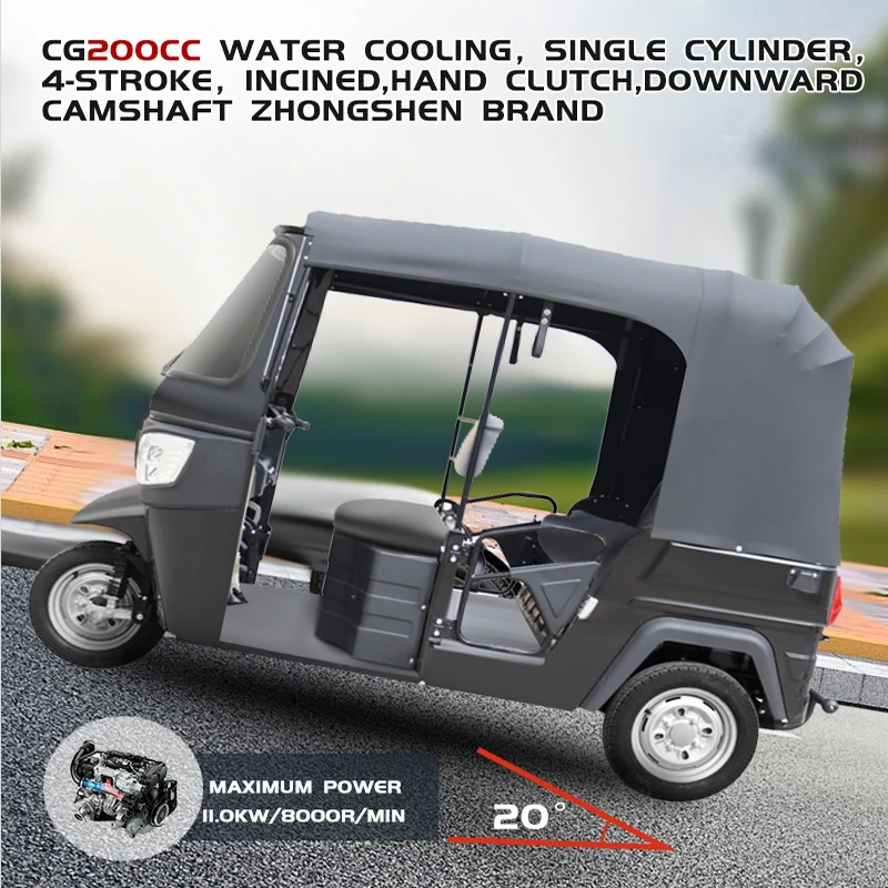 eec electric mini car home mini car 2 seat automobiles electric mini cars DUDU